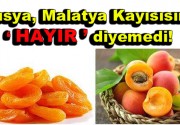 Rusya, Malatya Kayısısına ”HAYIR” diyemedi! Rusya’nın Türkiye’ye karşı uçak krizinden