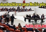 Dokunulmazlıklar ne zaman Meclis’e gelecek? Dokunulmazlıklarla ilgili anayasa değişiklik teklifi