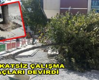 Dikkatsiz çalışma ağaçlara zarar veriyor