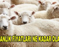 Kurbanlık fiyatları ne kadar olacak?