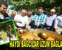 Haydi Bağcılar Üzüm Bağlarına…