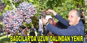 BAĞCILAR’DA ÜZÜM DALINDAN YENİR