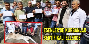 ESENLER’DE KURBANLAR SERTİFİKALI ELLERE EMANET