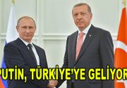 Putin, Türkiye’ye Geliyor Rusya Devlet Başkanı Vladimir Putin Türkiye’ye geliyor.