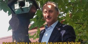 Bagcilar’da hayvanlar güven içinde