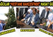 Bağcılar’da mangallar kestaneler için yakıldı Birbirinden farklı etkinliklerle adından söz
