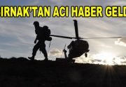 Şırnak’ta çatışma çıktı! Şırnak’ta PKK’lı teröristlerle güvenlik güçleri arasında çatışma