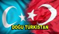 Doğu Türkistan