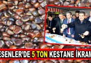 ESENLER KESTANEYE DOYDU Esenler Belediyesi tarafından ilk kez düzenlenen Kestane