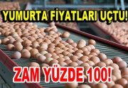 Son 1 ay içerinde yumurta fiyatlarında görülen artış Türkiye’de yumurta