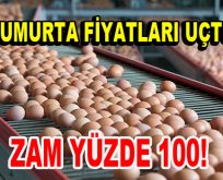 Yumurta fiyatları yüzde 100 arttı!