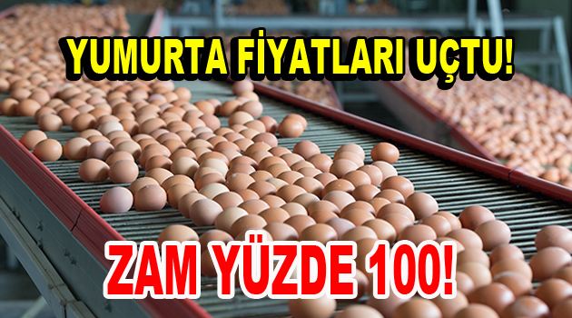 Yumurta fiyatları yüzde 100 arttı!