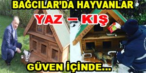 Bağcılar’da hayvanlar güven içinde…