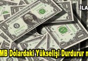 Dolardaki yükseliş son aylarda şüphesiz ülkenin gündemine oturmuş durumda ve