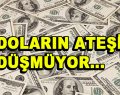 Dolar rekor kırdı