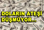 Dolar rekor kırdı Dolar kuru Ağustos 2018’den bu yana en