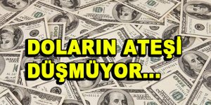 Doların ateşi yine yükseldi