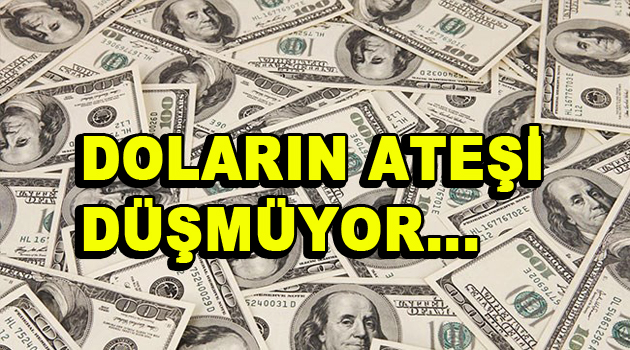 Doların ateşi yine yükseldi