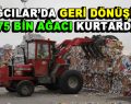 Bağcılar’da 175 bin ağaç kesilmekten kurtarıldı