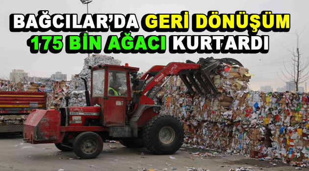 Bağcılar’da 175 bin ağaç kesilmekten kurtarıldı