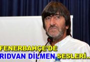 Fenerbahçe’de kötü giden lig sezonunun ardından Dick Advocaat’ın suyu ısındı.