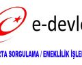 E-Devlet İle Sigorta Girişi Sorgulama ve Emeklilik İşlemleri Hakkında Detaylı Bilgiler