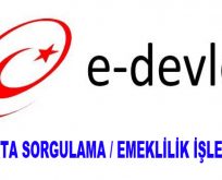 E-Devlet İle Sigorta Girişi Sorgulama ve Emeklilik İşlemleri Hakkında Detaylı Bilgiler