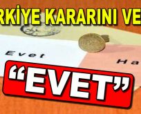 Türkiye Referandum kararını verdi: ”EVET”