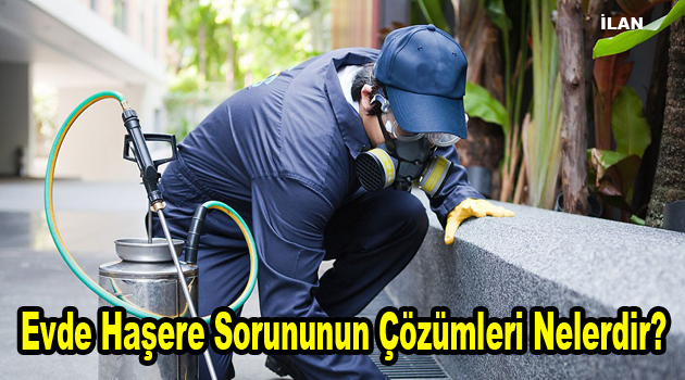 Evde Haşere Sorununun Çözümleri Nelerdir