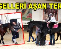 Engelleri Atlı Terapiyle aşıyorlar