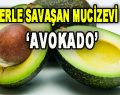 Kanserle savaşan mucizevi besin ‘Avokado’