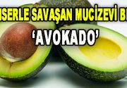 Kanserle savaşan mucizevi besin Avokado Kanserle savaşan mucizevi besinlerin başında