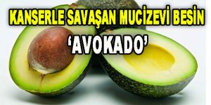 Kanserle savaşan mucizevi besin ‘Avokado’