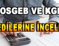 KOSGEB ve KGF Kredilerine İnceleme