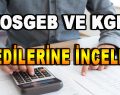 KOSGEB ve KGF Kredilerine İnceleme