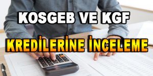 KOSGEB ve KGF Kredilerine İnceleme