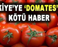 Türkiye’ye ‘Domates’ İçin Kötü Haber