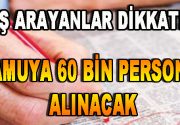 İş arayanlar dikkat ! Kamuya 60 bin Personel Alınacak Çalışma
