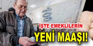 İşte emeklinin Yeni maaşı, Temmuz zammı için geri sayım başladı!