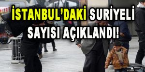 İstanbul’daki Suriyeli Sayısı Açıklandı!