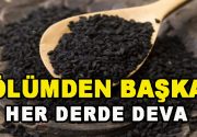 Çörek otu bir diğer adı da Kutsal tohum olarak adlandırılan