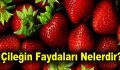 Çileğin Faydaları Nelerdir?