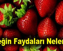 Çileğin Faydaları Nelerdir?