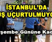 İstanbul’da Kuş Uçurtulmuyor!