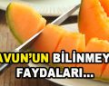 ‘Kavun’un Bilinmeyen Faydaları…