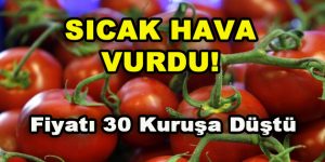 Sıcak Hava Vurdu! Fiyatı 30 Kuruşu Düştü