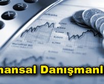 Finansal Danışmanlık