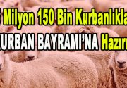 Kurban Bayramına sayılı günler kala kurban pazarlarında büyük bir hareketlilik