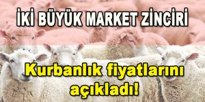 İki Büyük Market Zinciri Kurbanlık Fiyatlarını Açıkladı!