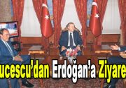 Cumhurbaşkanı Recep Tayyip Erdoğan, Beylerbeyi Sarayı’nda Futbol Federasyonu Başkanı Yıldırım
